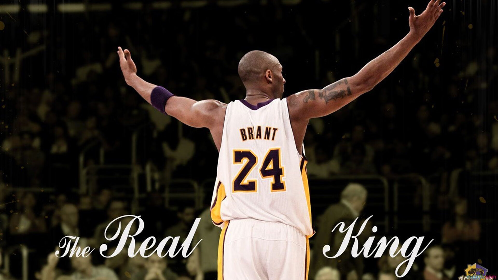 拉梅洛·鲍尔末节封神，黄蜂掀翻热火诠释青春风暴